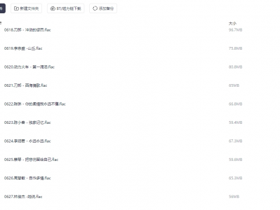 正版64G无损歌曲整理,内含经典、怀旧、流行等,全部免费收藏!