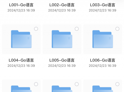 花了6999买来的【老男孩教育】GO语言线下培训班 01期 - 带源码课件,需要提升计算机技能的速来!