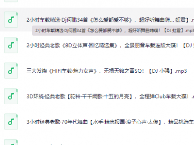 2024某宝报价158车载U盘种类齐全高音质 MP3/mp4/wav/41g